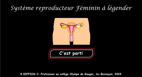 page d'acceuil de l'application appareil (système) reproducteur féminin vu de face
