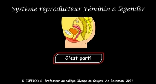 page d'acceuil de l'application appareil (système) reproducteur féminin vu de profil